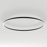 Светильник SP-LINE-HANG-ARC-O3535-D1500-124W Day4000 (BLACK, 230V) (Arlight, Металл)